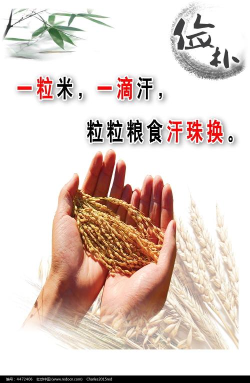 怎么办假斯凯勒堡海事学院文凭毕业证